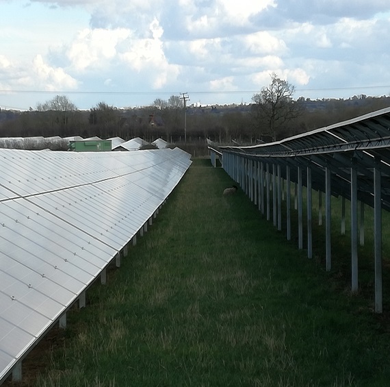 OPDE begins construction of a new 6.9 MWp solar farm in Hothfield, UK